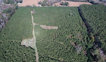 57 40 Acres-TBD Cades Rd, Cades, SC 29518