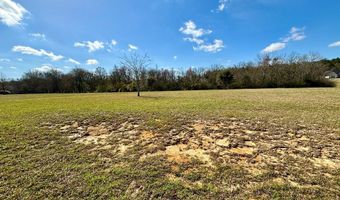 493 N Hill Dr, Carriere, MS 39426