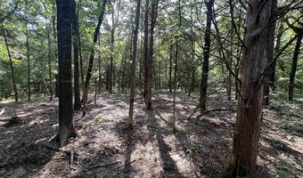 0 CR 4236, De Kalb, TX 75559