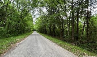 DOHERTY STORE RD, Big Sandy, TN 38221