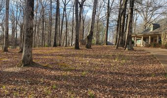 1220 Quail Ridge Rd, Baldwyn, MS 38824