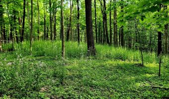 34 Stonykill & Granite Rd, Accord, NY 12404