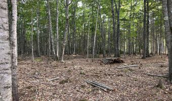 Lot 5 Bluff Road, Bar Harbor, ME 04609