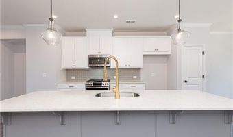 1009 Taylor Ct, Acworth, GA 30102