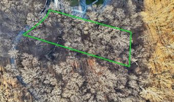 451403 Pheasant Cir Lot 56, Afton, OK 74331