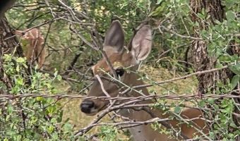 6525 E 180, Anson, TX 75901