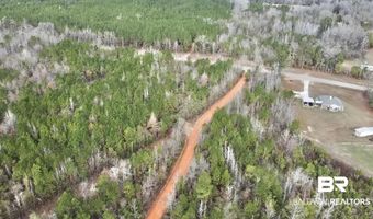 21000 Block Highway 21, Beatrice, AL 36425