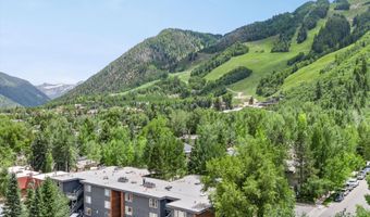 124 W Hyman Ave 3B, Aspen, CO 81611