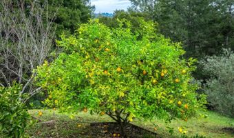 645 Skyward Dr, Aptos, CA 95003