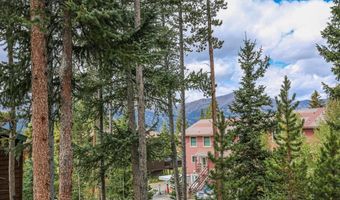 6 Southface Dr 2, Breckenridge, CO 80424