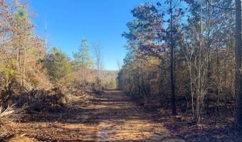 1600 Odom Point Rd, Bee Branch, AR 72013