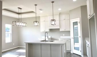429 Serg Loop, Alamo, TX 78516