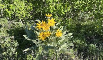 Tbd VISTA RIDGE LANE, Bondurant, WY 82922