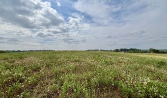 RR 1 Box 438K County Rd O-532, Ava, MO 65608