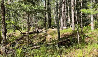 Map 202-Lot 39 Parker Road, Bethlehem, NH 03574