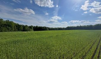 10 35 AC Snow Hill Rd, Alton, VA 24520
