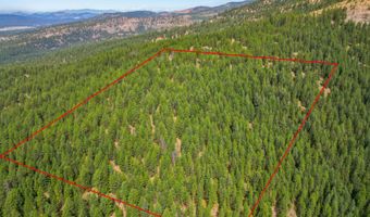 NNA USFS 2550 40 acres, Blanchard, ID 83804