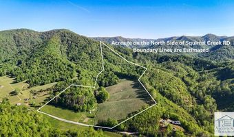 1619 Squirrel Creek Rd, Ararat, VA 24053
