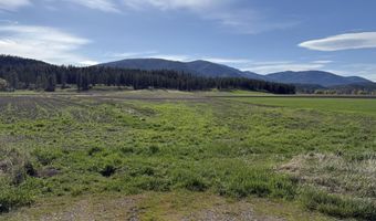 ZIMMER Rd, Addy, WA 99101