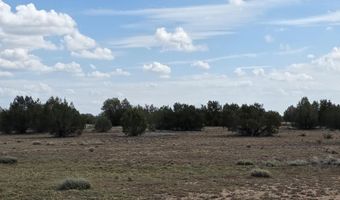 64 Antelope Run, Ash Fork, AZ 86320