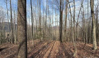 1029 Chippawa Dr 67, Arden, NC 28704