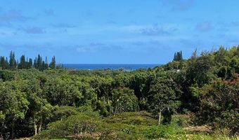 KANAELE RD, Kapaa, HI 96746