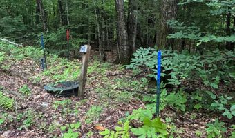 10-3 9 Tobey Rd, Campton, NH 03223