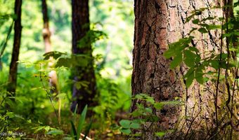Cypress Pointe Drive lot 9, Brooksville, MS 39739