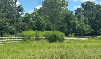 10553 NE 36TH Ave, Anthony, FL 32617