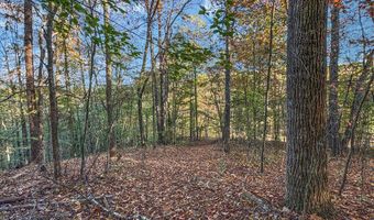 Lot 10 Dry Meadow Dr, Adams, KY 41201