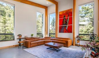 11336 County Road 742, Almont, CO 81210