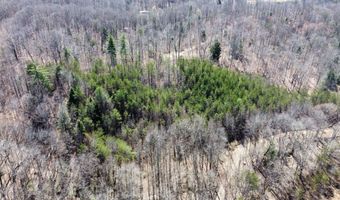 Hopewell Hawks Point Road lot # 15, Beattyville, KY 41311