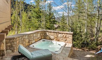 388 Exhibition Ln, Aspen, CO 81611