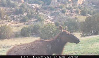 001 CR 40.2, Branson, CO 81027