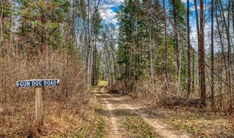 20008 County 84, Akeley, MN 56433