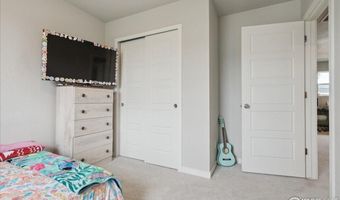 608 Apex Trl, Ault, CO 80610