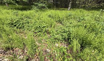 Dorshimer Ave, Blakeslee, PA 18610