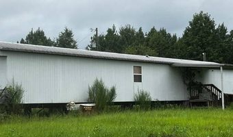 10664 Burton's Ferry Rd, Allendale, SC 29810