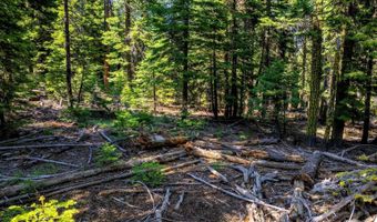 8735 Bering Rd, Alturas, CA 96101