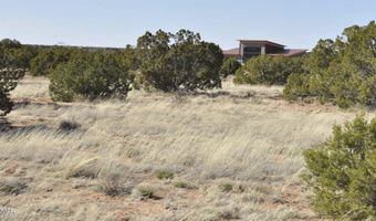 12 County Rd N8543, Concho, AZ 85924