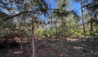 Bienville Court, Alford, FL 32420