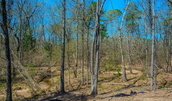 2002 Cherry Xing, Benton, AR 72015