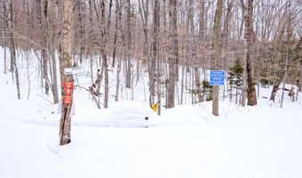 Markham Mountain Road, Andover, VT 05143