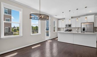 24498 AMHERST FOREST Ter, Aldie, VA 20105