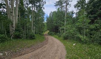 4566 Middle Mountain Rd, Bayfield, CO 81122