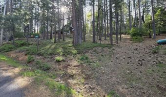 2904 Venado Dr, Arnold, CA 95223