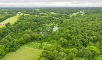 21 Lakeview Ln, Anderson, MO 64831