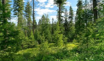 401 Saddlehorn Trl, Bigfork, MT 59911