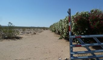 9860 S US HWY 95, Cal Nev Ari, NV 89039