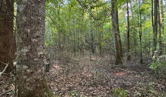 0 Military Rd, Beaverton, AL 35544